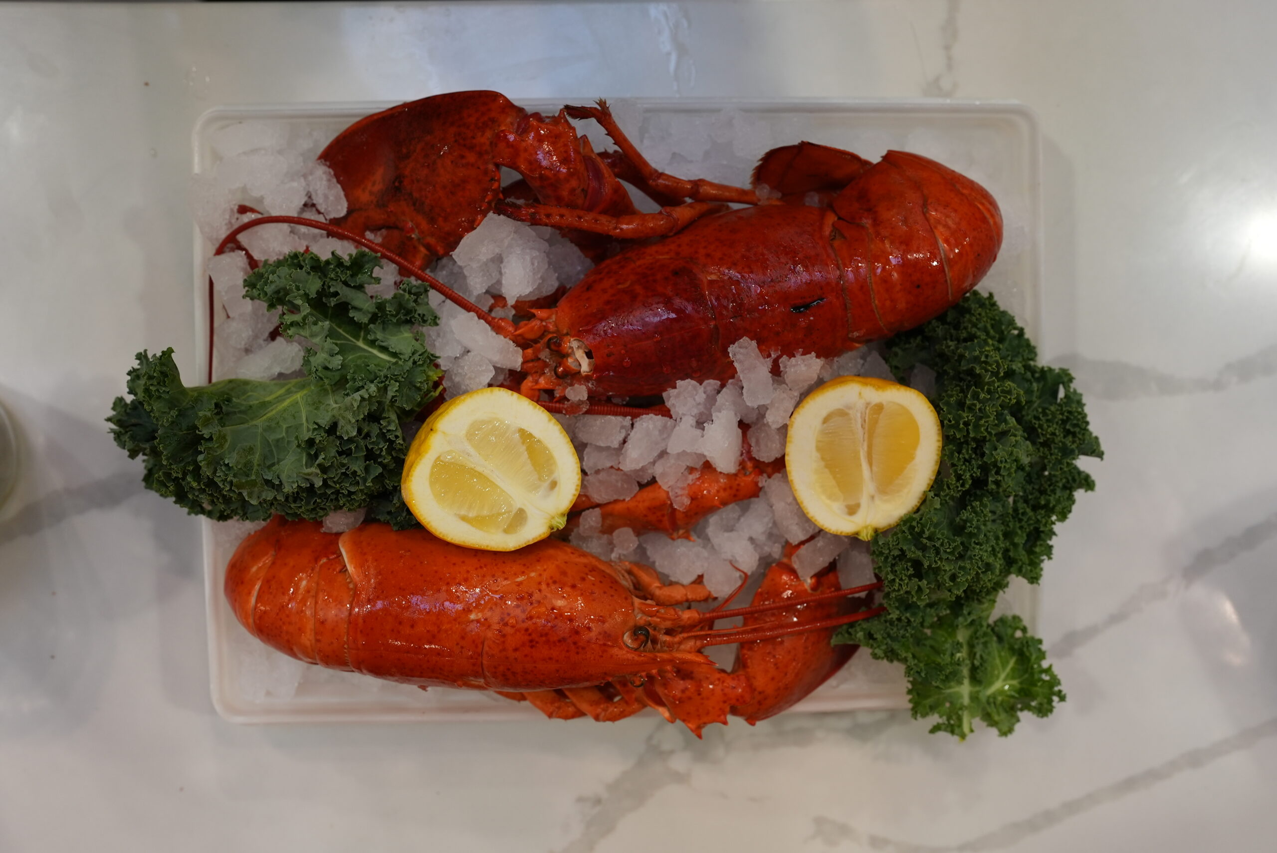 Livoti's Fresh Caught Seafood Lobster